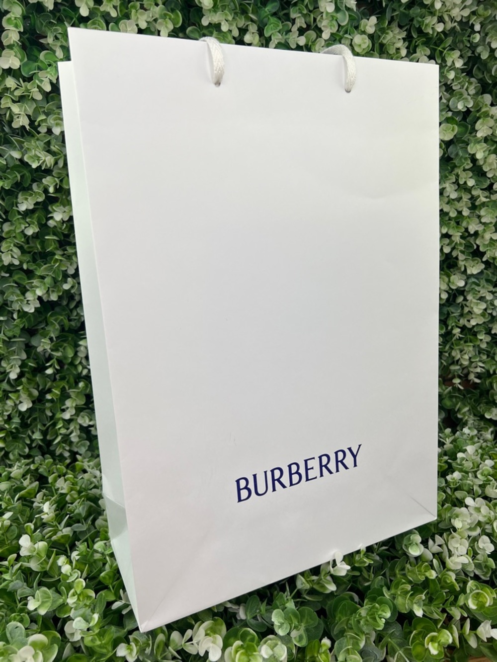 Burberry Authentic Classic Gift Bag / Shopping Bag - Picture 2 of 12